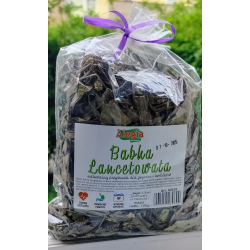 WYPRZEDAŻ !!! Alegia BABKA LANCETOWATA 100g zmiana szaty graficznej